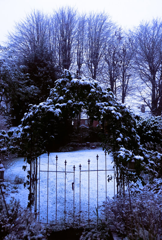Snow covered gates and arch